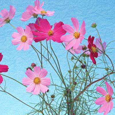 华体会登录app下载