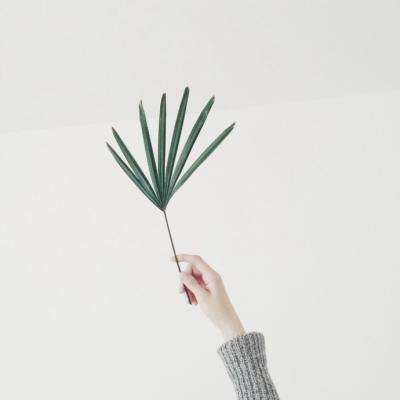 皇冠体育手机版软件