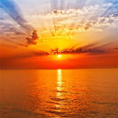 BoB体育平台手机下载