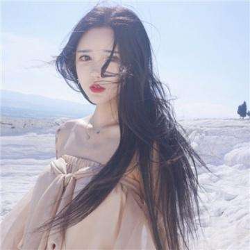 2023澳门资料大全正版下载手机版